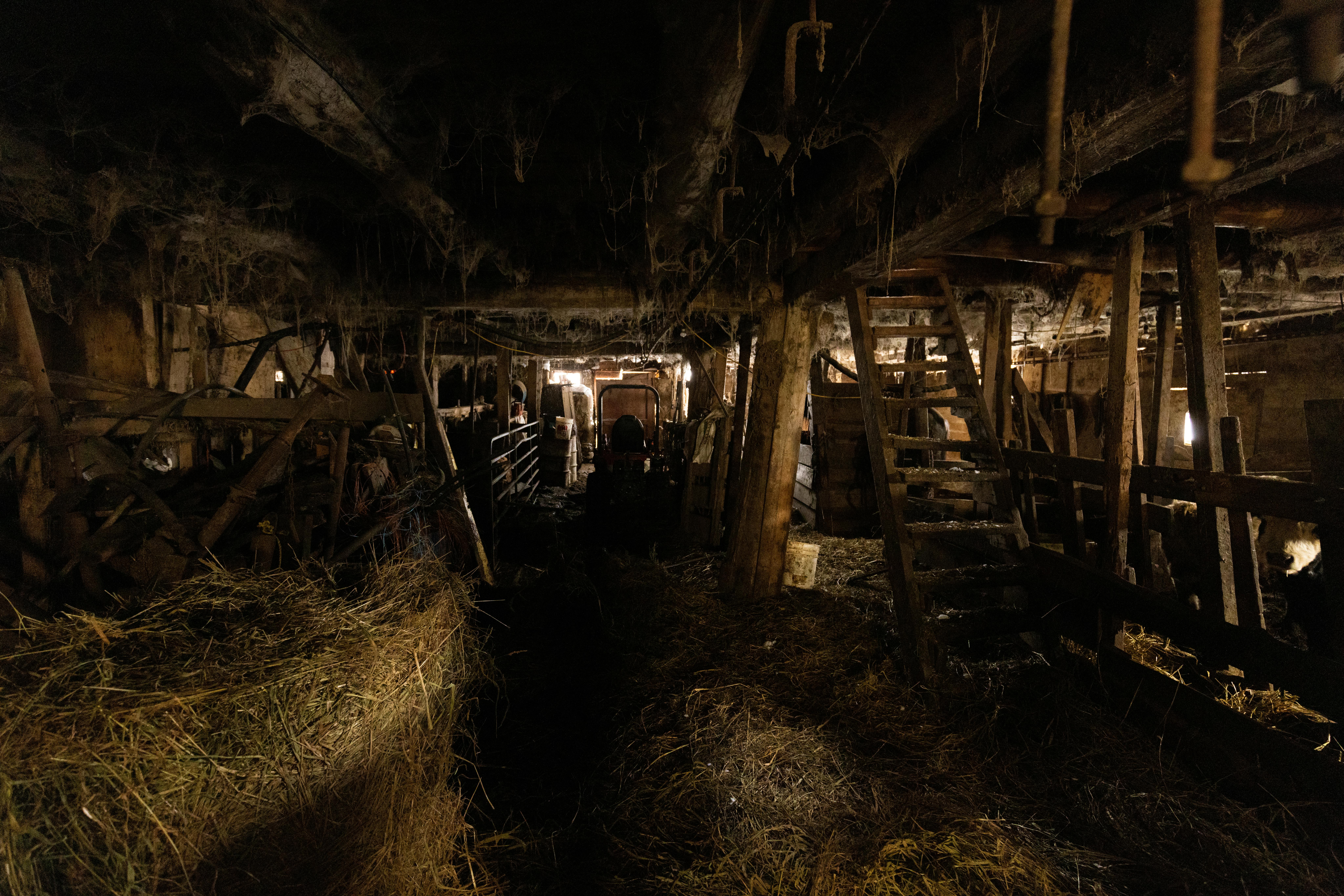 A neglected crawl space typical of Portland-area pre-1940 housing stock: cobweb-covered framing, accumulated debris, no working vapor barrier