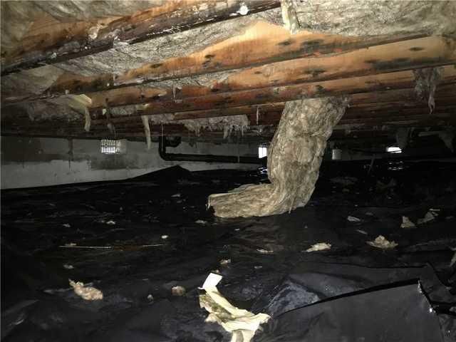 Before encapsulation: torn dark vapor barrier on the soil, wet and fallen fiberglass insulation hanging from the floor joists, debris across the crawl space
